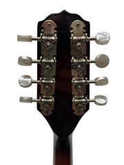FENDER FM-100 A STYLE MANDOLIN  (le-ls)